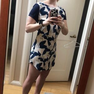 Lulus spring shift dress!